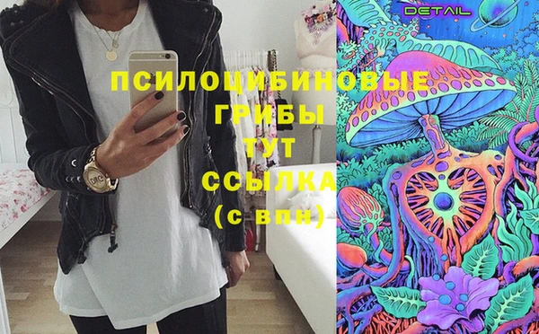 сатива Нефтекумск