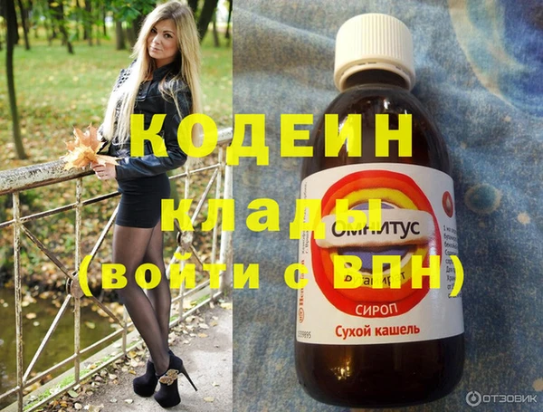 индика Новозыбков