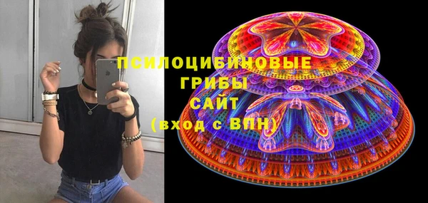 молекула духа Нея