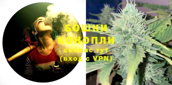 молекула духа Нея