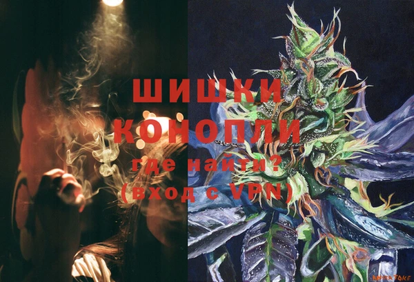 сатива Нефтекумск