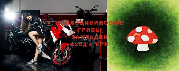 сатива Нефтекумск