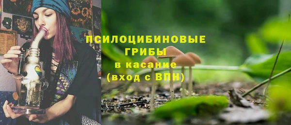 молекула духа Нея